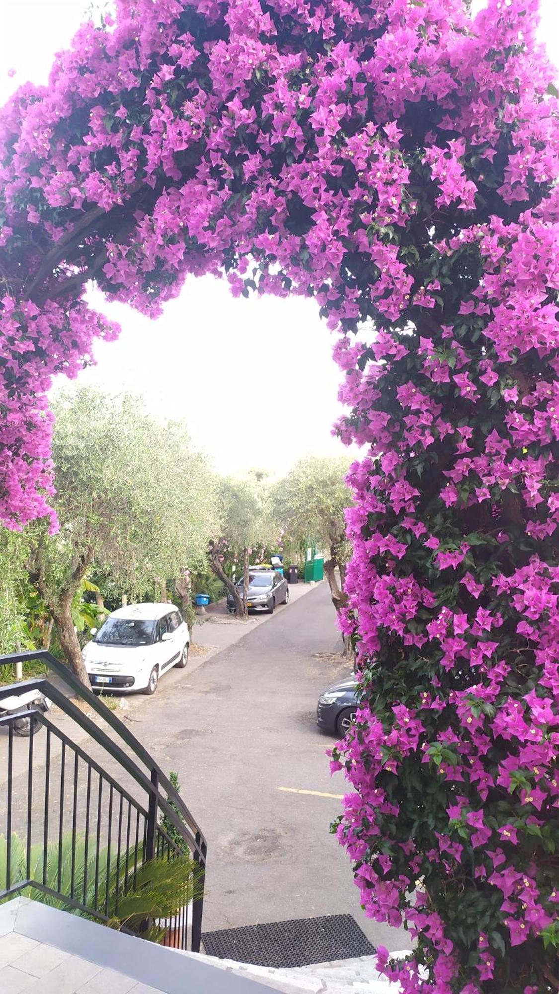 Hotel Bellavista San Bartolomeo Al Mare
